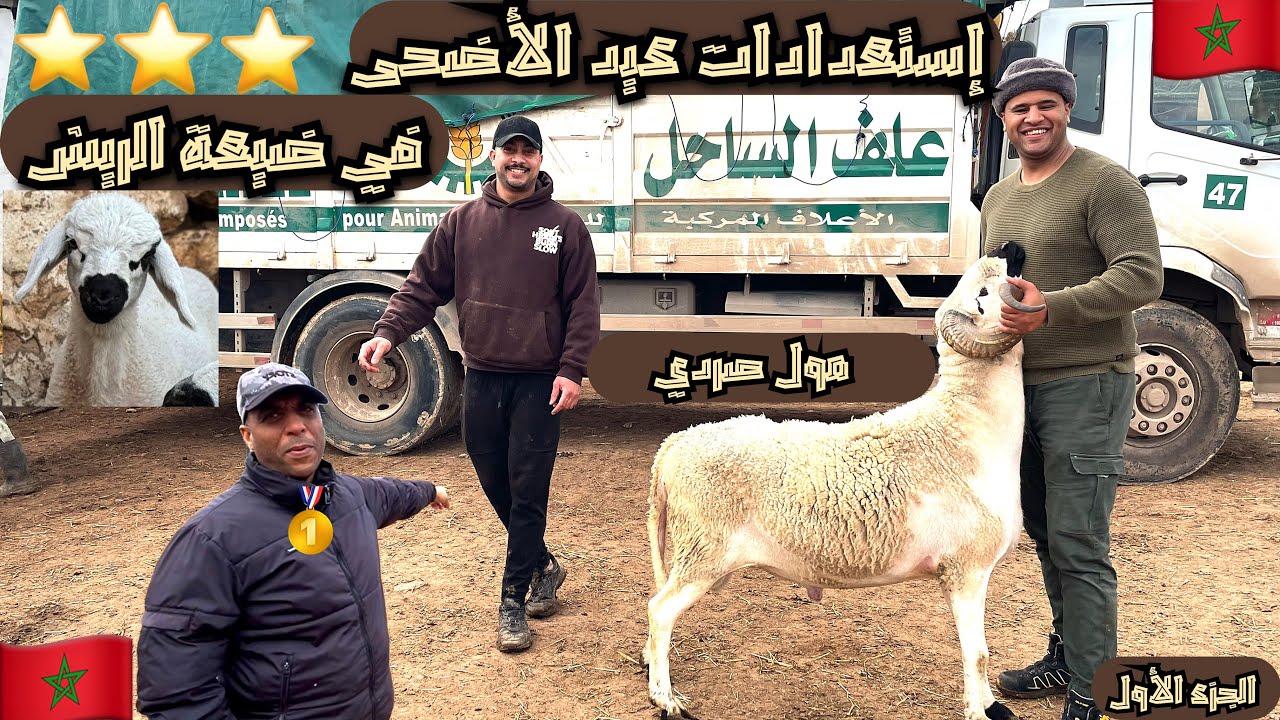 تحضيرات عيد الأضحى من قلب ضيعة محمد الريش 😍 #المغرب #اكسبلور   #العريفي #animals 
