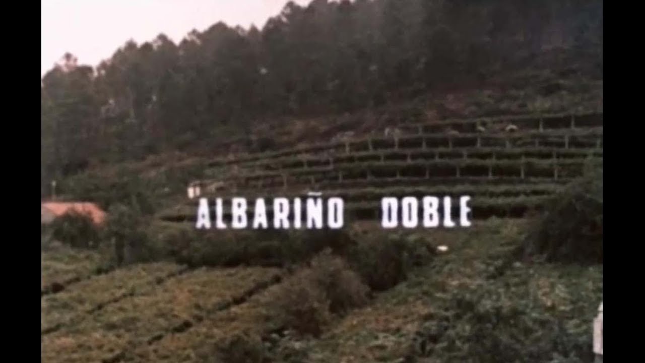 Albariño doble. 1974
