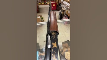 Cover Image for Remington 1100 Ducks Unlimited 🦆