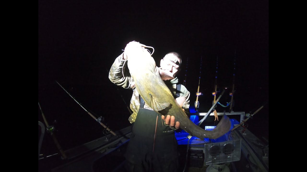 Fishing Flats At Night For Catfish YouTube