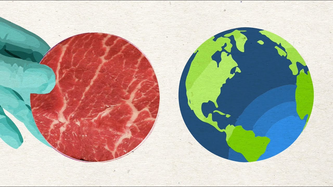 Should Beef Come From A Petri Dish?