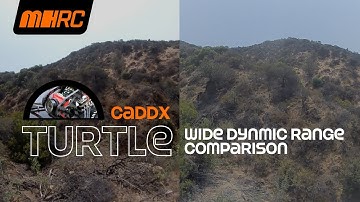 Caddx Turtle Wide Dynamic Range Comparison
