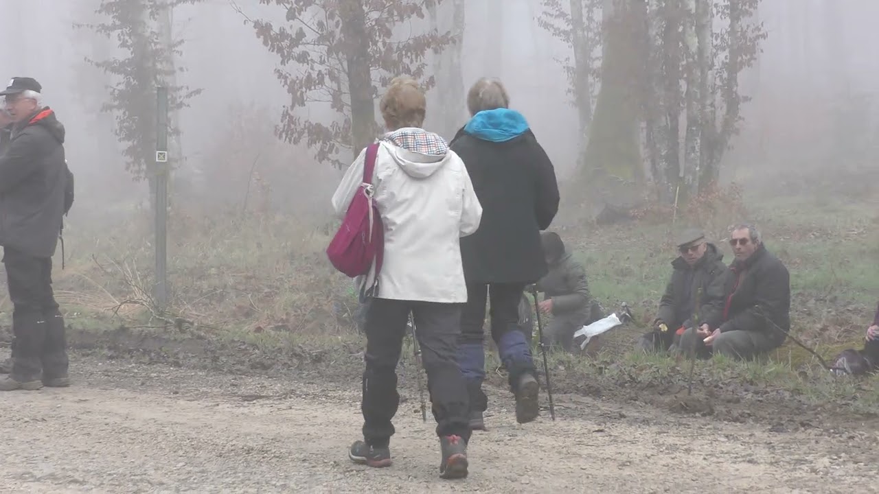 St Nicolas les Citeaux