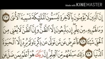 سورة النجم من آية ( ٢٧ ) إلى آية ( ٤٤ ) - للقارئ : عبدالرحمن السديس .