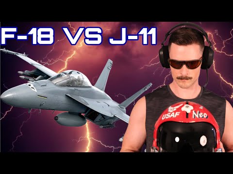 Real Fighter Pilot F-18 vs Chinese J-11 | DCS
