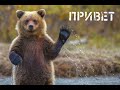 ЛУЧШИЕ ПРИКОЛЫ ИЮНЬ 2020