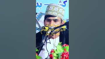 سوره الزلزله قاری نجم الدین جمالی