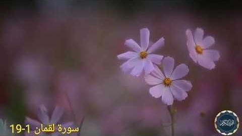 الشيخ ياسر الدوسري !يرتل من !سورة لقمان امام الحرم المكي!