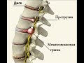 День четвертый кризиса. Видео первое.