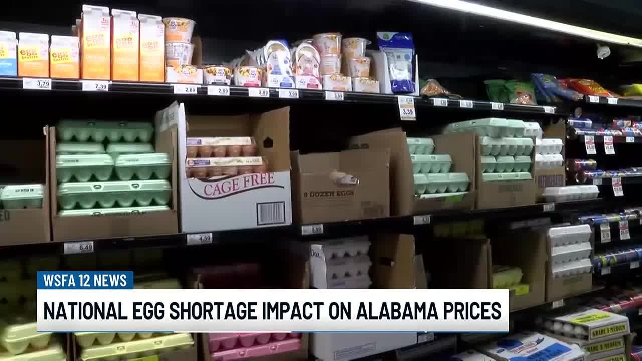 National egg shortage impacting prices in Alabama