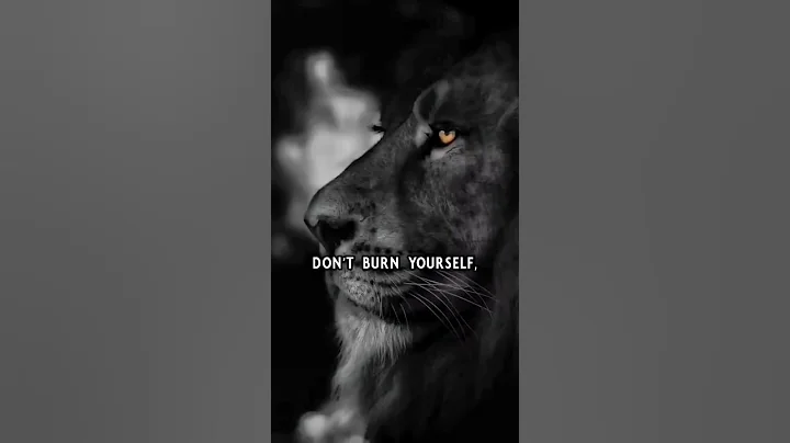 Sigma rule 😎🔥~ Attitude status 😈 | WhatsApp status | Attitude quotes #shorts #quotes #attitude