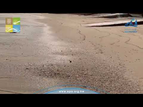 استكمالا للبلاغ حول رصد التلوث بالديزل في شاطيء ميناء عبدالله