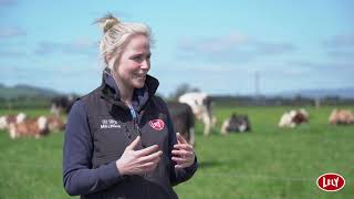 Getting back into dairy with two Lely robots in Wexford