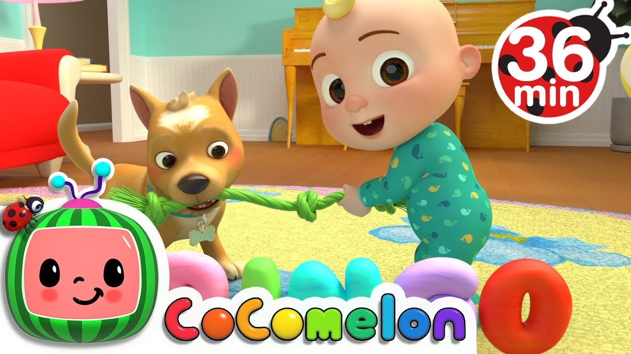 Bingo | +More Nursery Rhymes & Kids Songs - Cocomelon (ABCkidTV)