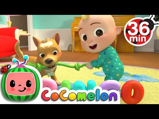 Bingo | +More Nursery Rhymes & Kids Songs - CoCoMelon Download video