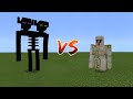 Titan Vs Iron Golem - Minecraft Mob Battle