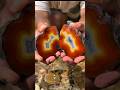 Woww amazing🤩💥 #agate #crystals #colourfulstones #discovery #naturalamethyst #adventure #gold #rock