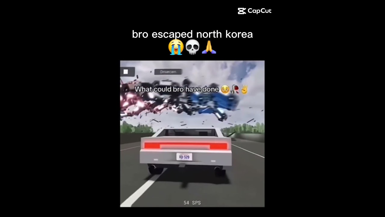 bro escaped north korea 😭 #funny #memes #echodoge #shorts
