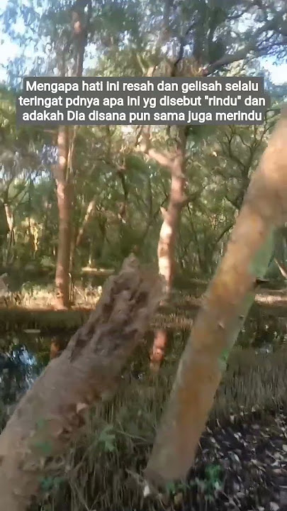 Rembulanmalam#apakahsamamerindu#storywa #videoshorts