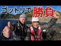 クエ【アラ】 宮崎県幸島ゴットリ