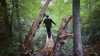 Zach Oliver - Anybody But Me (visualizer)