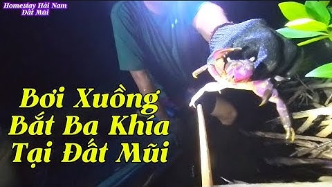 Bơi xuồng đi bắt Ba khía tại Đất Mũi Cà Mau dính Cá thòi lòi khổng lồ mà sảy 