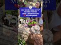 "הייתה אמורה להיות דודה שרופה": אחות של הקצינה שנפלה ב-7/10 בסרטון שובר לב