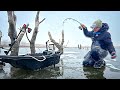 First Ice Fishing A FLOODED FOREST For Pond Monsters!!! (Unexpected Catch)