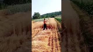 Smart Farmers