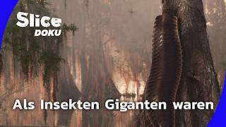 Download Lagu Die vergessene Urzeit | Folge 1: Als Insekten die Erde dominierten | Slice Doku MP3