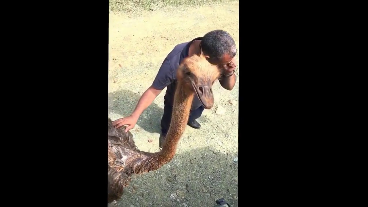 Cayo saetia- island paradise in Cuba