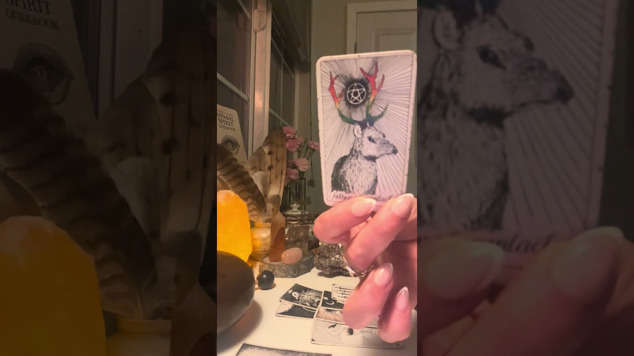 WITHOUT A SHADOW OF A DOUBT, THEY KNOW YOU’RE THE ONE….. (FAR FROM OVER)