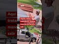 El momento en que un hombre se encuentra un oso en su camioneta