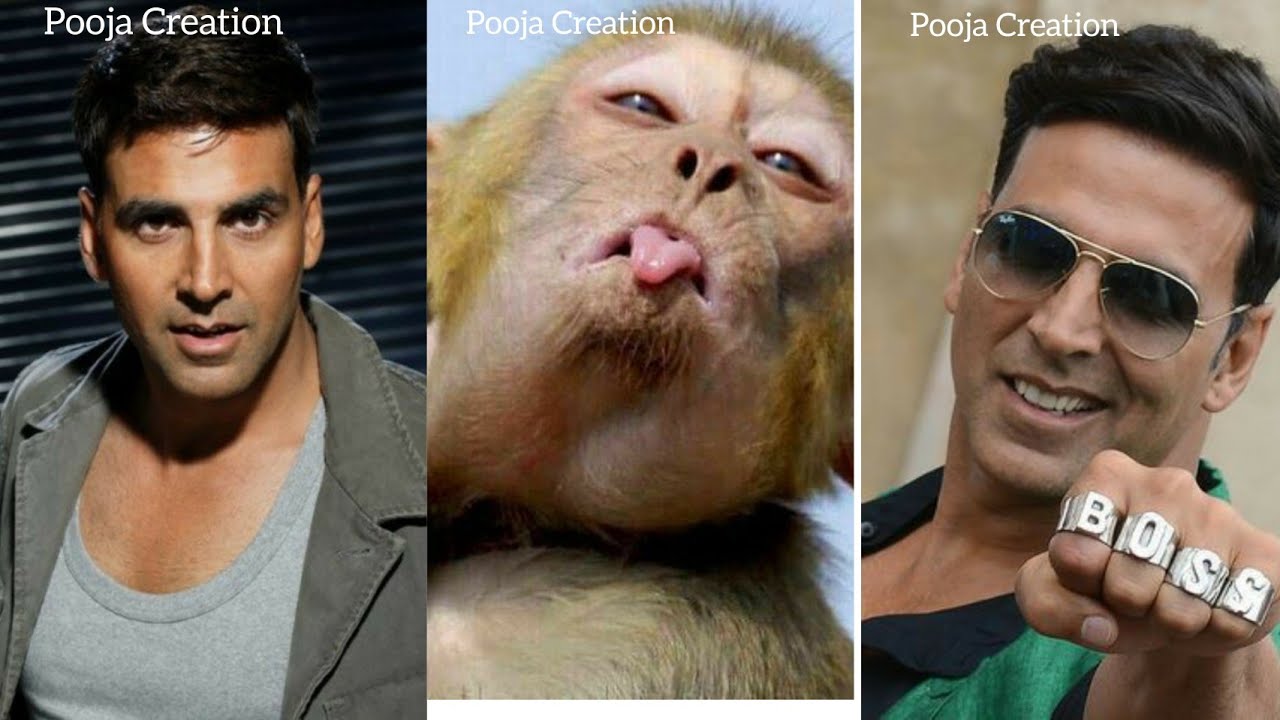 Slap Day Status l Slap Day Whatsapp Status l Slap Day special status l Slap Day Funny video l slap..