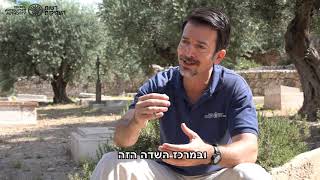 לראשונה: בגת שמנים נחשפה עדות ארכיאולוגית לימי בית שני- התקופה בה ע"פ האמונה הנוצרית, פעל ישוע במקום