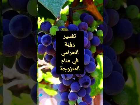 تفسير رؤية الحرامي في منام المتزوجة رؤية الحرام حرامى حرامية الحرمين الحرامي بوب الحرامي فسر 