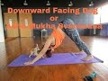 How to do Downward Facing Dog Or Adho Mukha Svanasana?