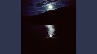 Moonlit Serenade