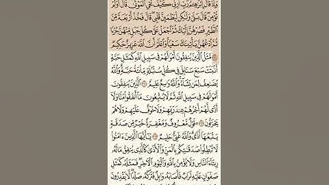 حفظ و تكرار سورة البقرة صفحة 44 - 10 مرات - الشيخ ماهر المعيقلي