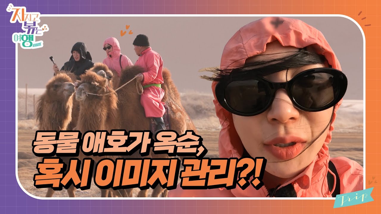 [지지고 볶는 여행]드디어 고비 사막에 도착! ....했는데 짜증 난 옥순?! 이유는 낙타 위에서 옥순을 살살 긁는 영식 때문?! 제발 그만...!//ep19-1