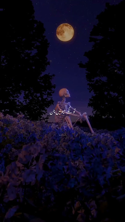 Deewane | Lyric Song | Lyrics | #shortvideo #songlyrics #lyricloom #music #lyrics #song #love