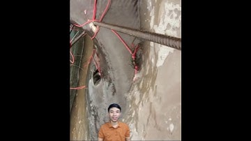 Nông dân campuchia câu được cá khổng lồ #cacconvat #docla #fishing