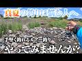 手堅く釣れて超お手軽。真夏の釣りはこの釣り方を試してみて欲しい!