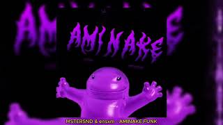 Amınake Funk (Bilinmeyen hız)