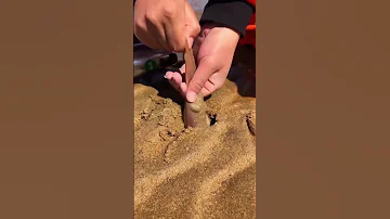 あそこを引っ張られる男がヤバすぎw 