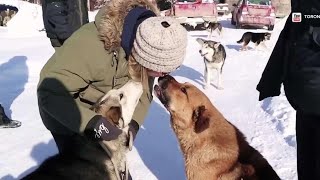 Almost 60 animals have been rescued from a remote northern ontario
community and brought to the gta in what toronto humane society says
was biggest d...