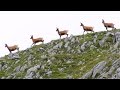 Tv izard esprit des pyrnes  bande annonce traverse 2012  pyrenees spirit trailer