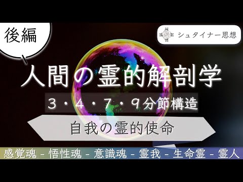 人間の霊的解剖学〜3・４・７・９分節構造｜後編　自我の霊的使命のサムネイル
