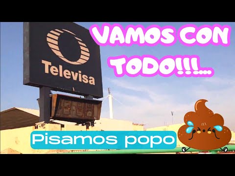 🚨VLOG Día de
