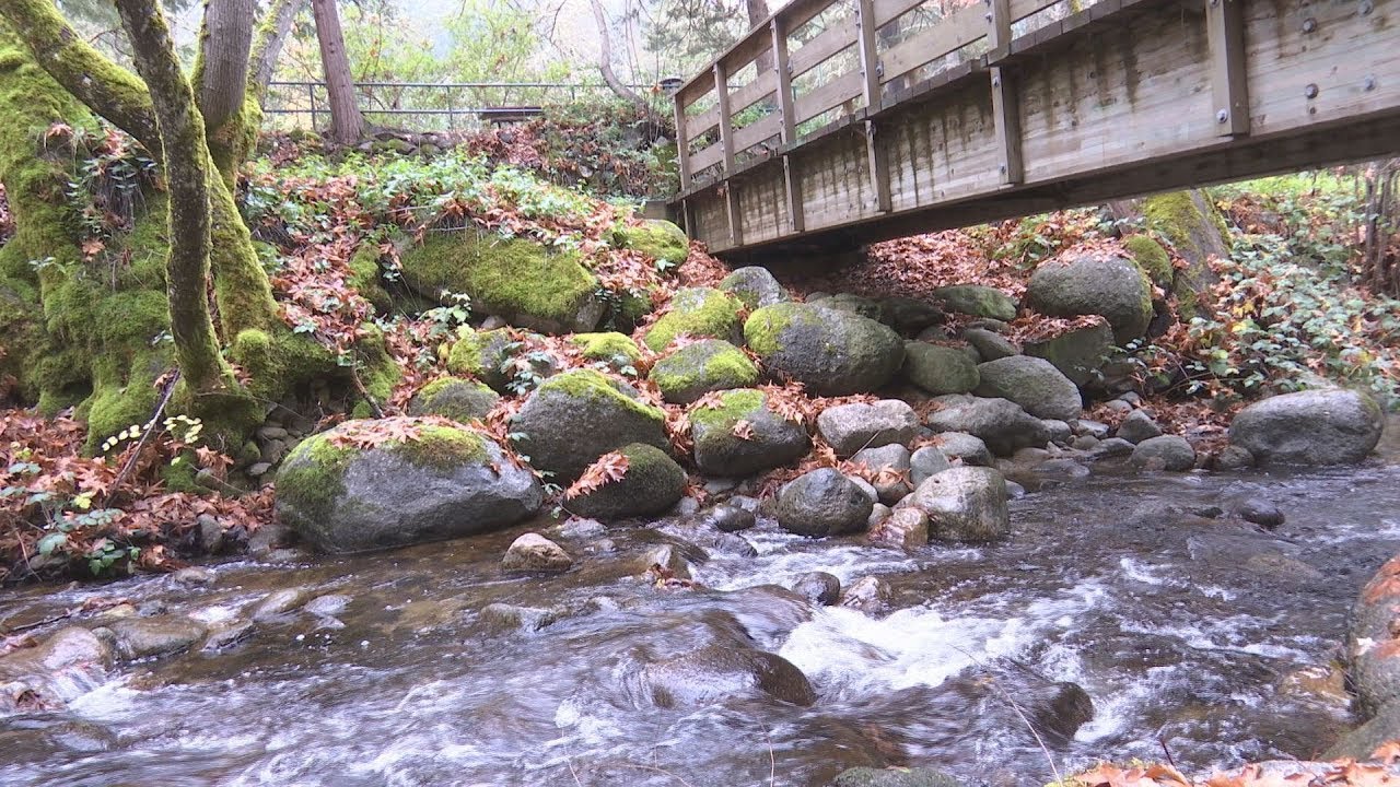 Ashland Parks and Rec forming 100year plan for Lithia Park YouTube